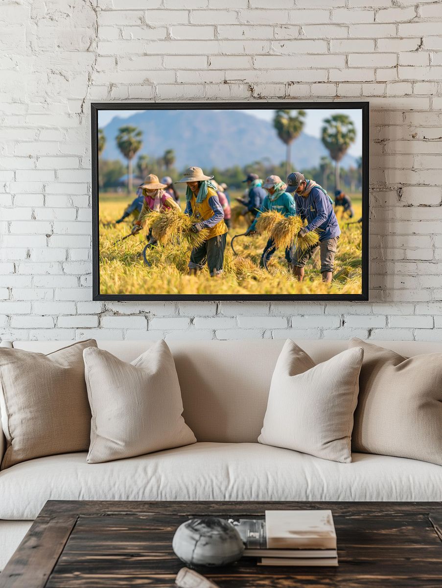 Rice Harvest Field Photography Poster. room preview