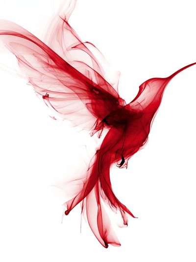 Red Hummingbird — Abstract Print. poster print