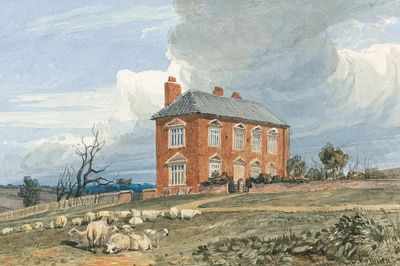 Rural House with Sheep — Fine Art Print. poster