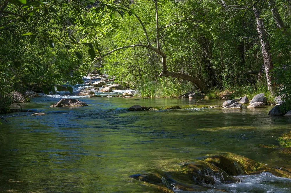Serene River Landscape — Calming Nature Wall Art Print. poster — nature art