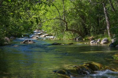Serene River Landscape