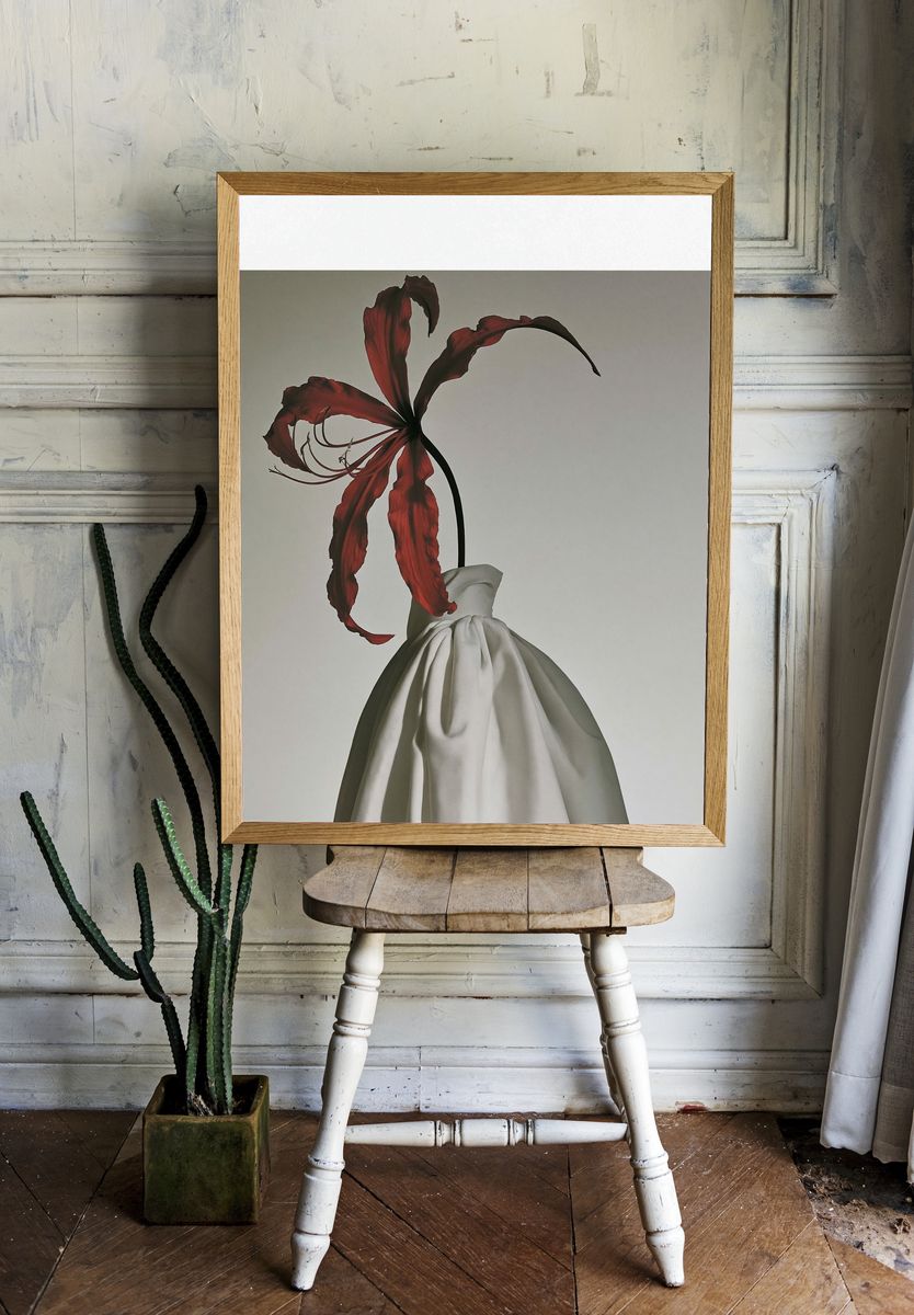 Red Lily Still Life Photography Poster. — room view 1