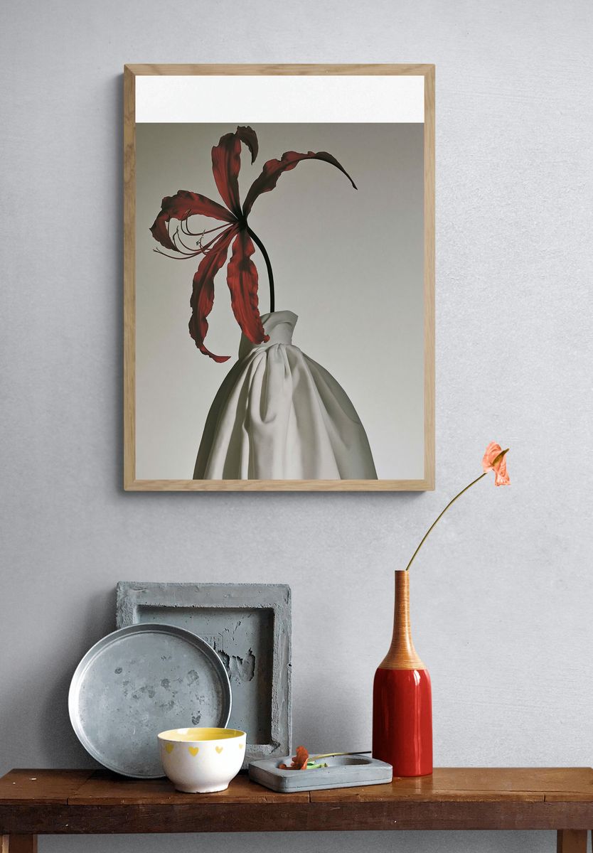 Red Lily Still Life Photography Poster. — room view 3