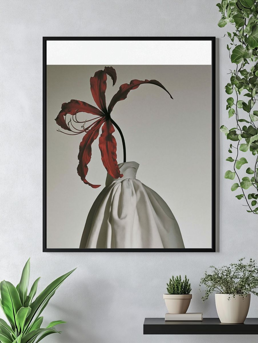 Red Lily Still Life Photography Poster. — room view 4