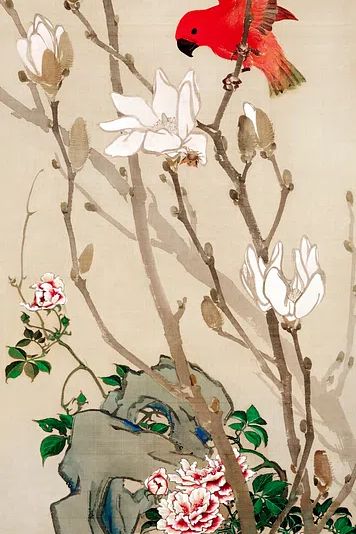 Red Bird and Magnolia Flowers — Fine Art Print. poster detail