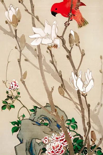 Red Bird and Magnolia Flowers — Fine Art Print. poster print