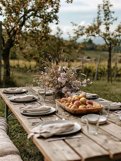 Rustic Orchard Picnic Photography Poster. poster