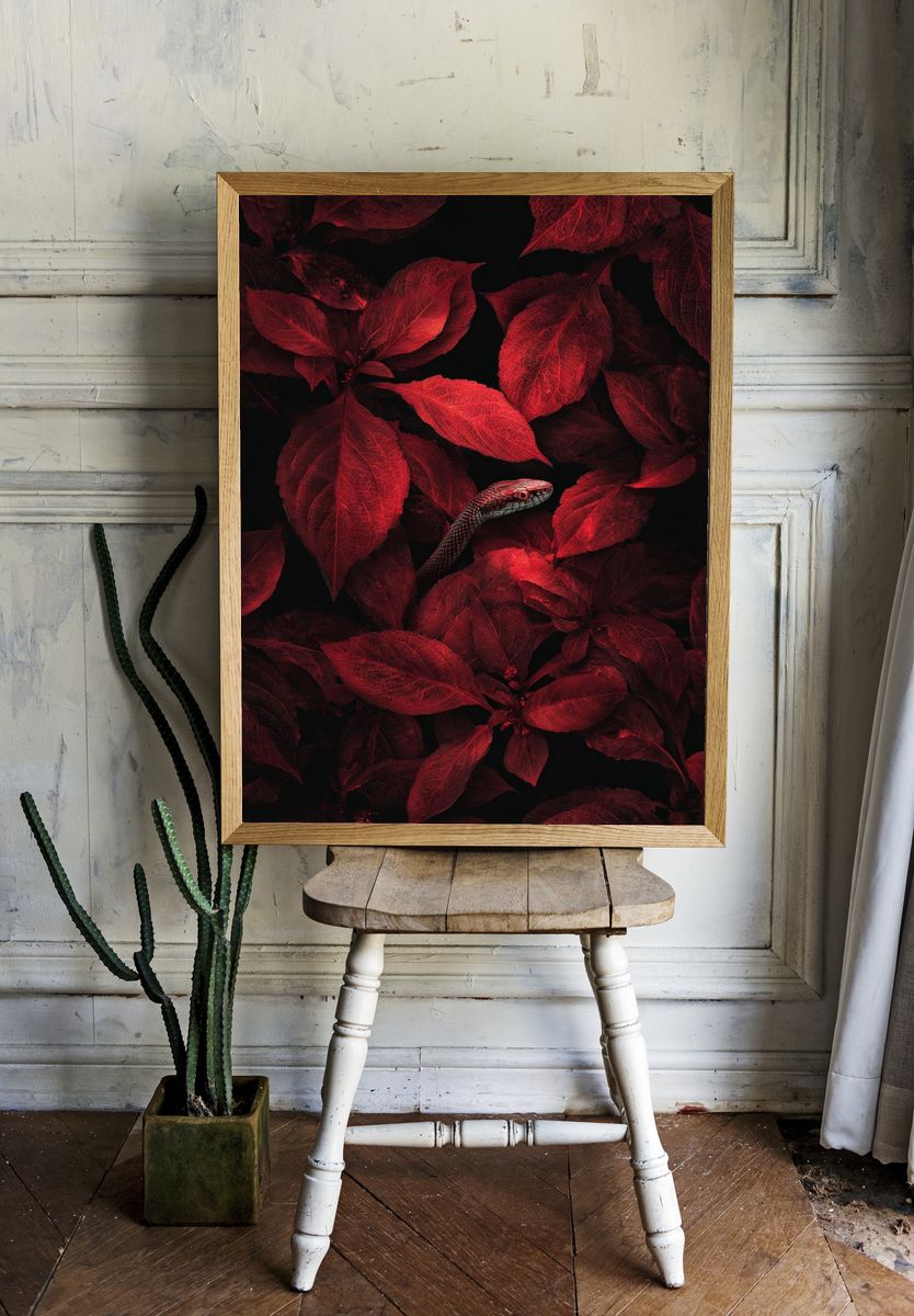 Red Snake Among Leaves — Nature Print. — room view 1