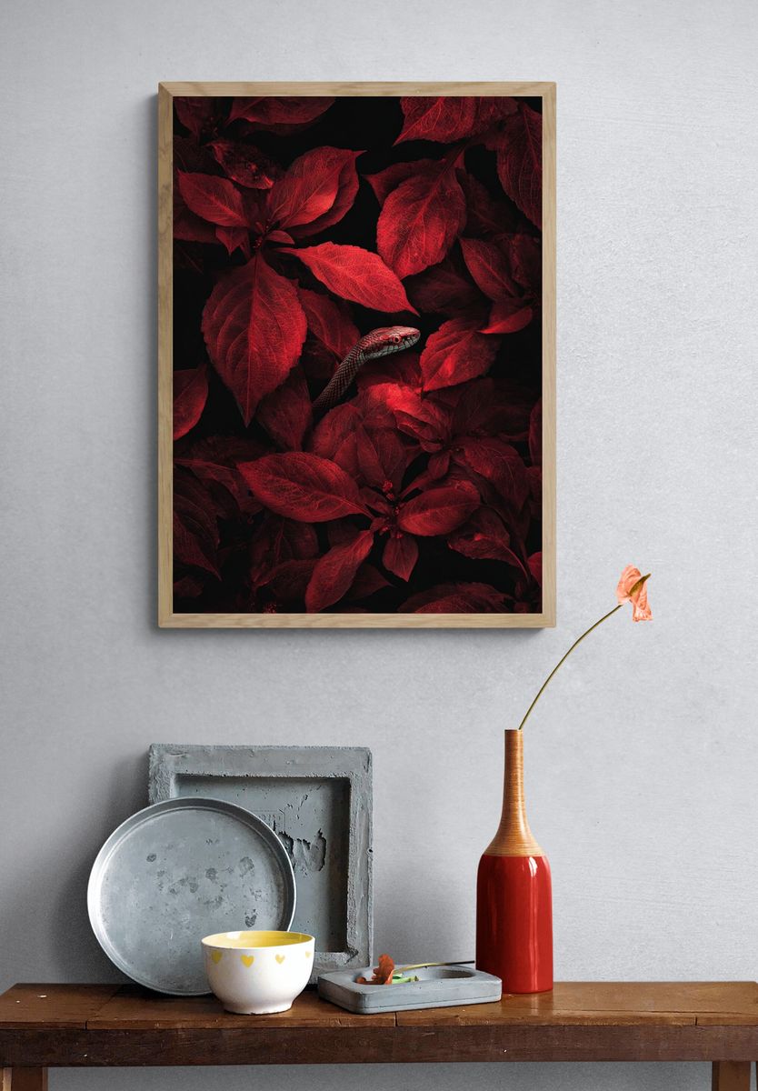 Red Snake Among Leaves — Nature Print. — room view 3