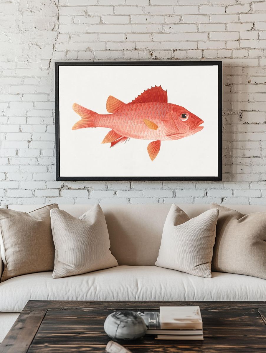 Red Snapper Watercolor Print room preview