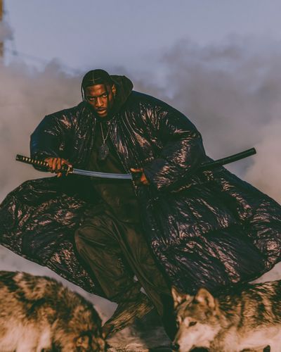 Samurai Warrior Portrait Print. poster
