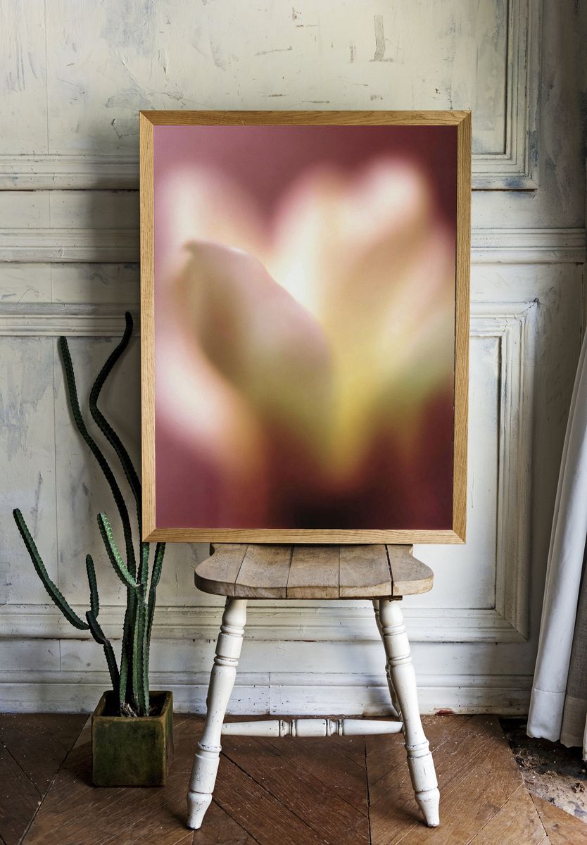 Soft Bloom — Fine Art Print. — room view 1