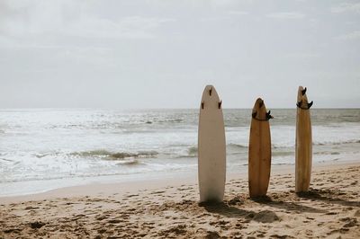Surfboards on the Beach — Photography Print. poster print