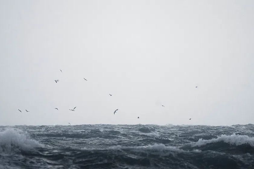 Ocean desktop wallpaper background, HD. poster detail