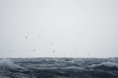 Ocean desktop wallpaper background, HD. poster