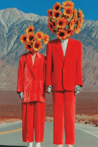 Sunflower Heads Fashion Poster. poster print