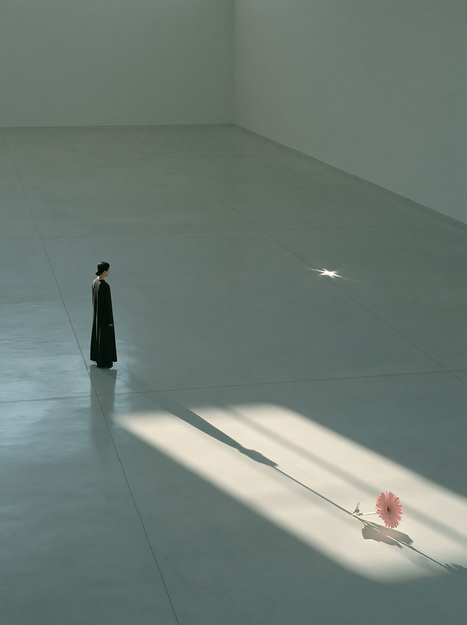 Solitary Figure with Flower Poster. poster detail