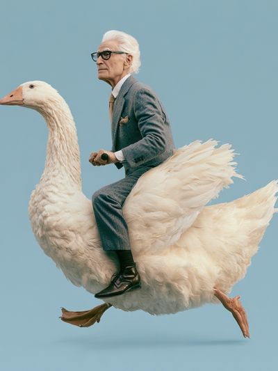 Surreal Goose Rider Print. poster