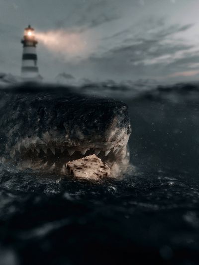 Shark at Lighthouse — Photography Print. poster print