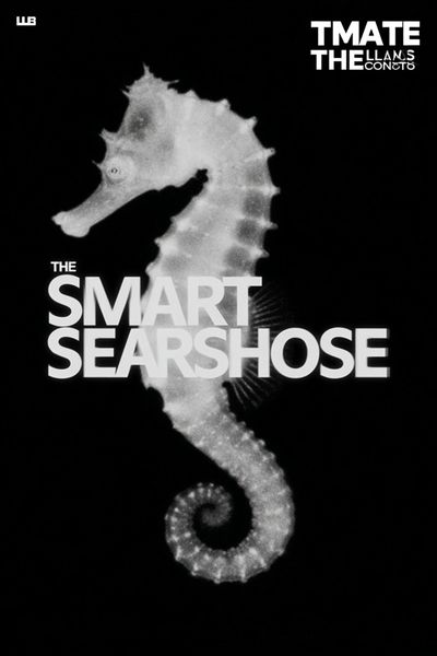 Seahorse