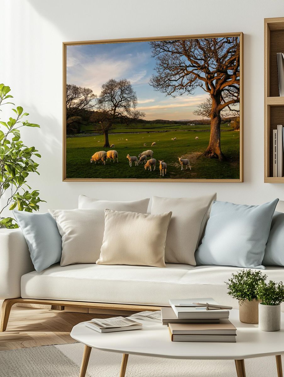 Sheep Grazing at Sunset Poster. — room view 2