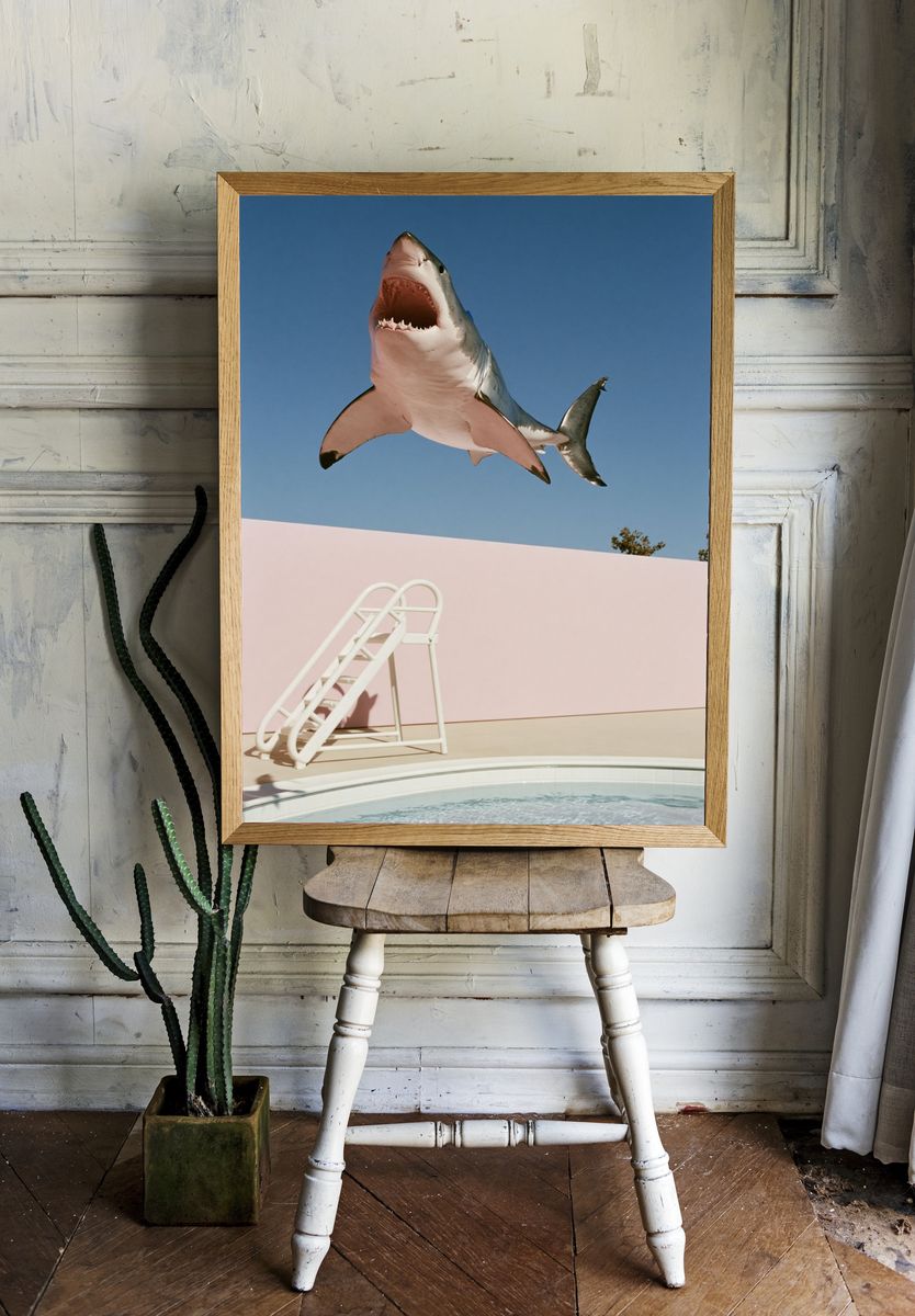 Shark Pool Dive Photography Poster. — room view 1