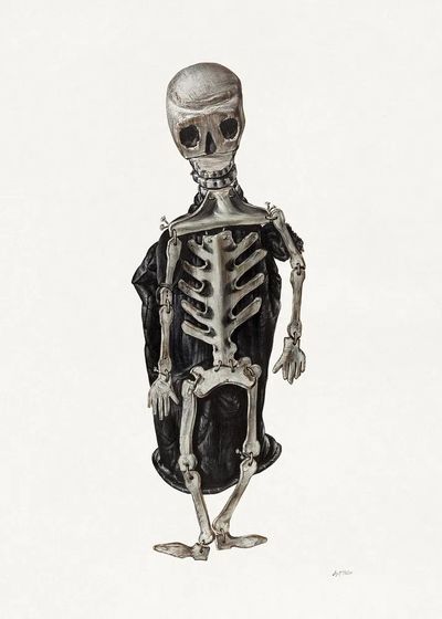 Skeleton Study — Fine Art Print. poster print