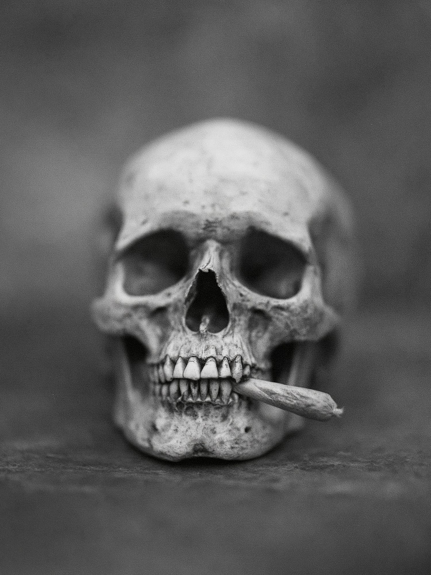 Skull with Cigarette Black-White Poster. poster — photography art