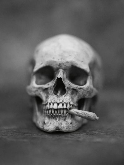 Skull with Cigarette Black-White Poster. poster print
