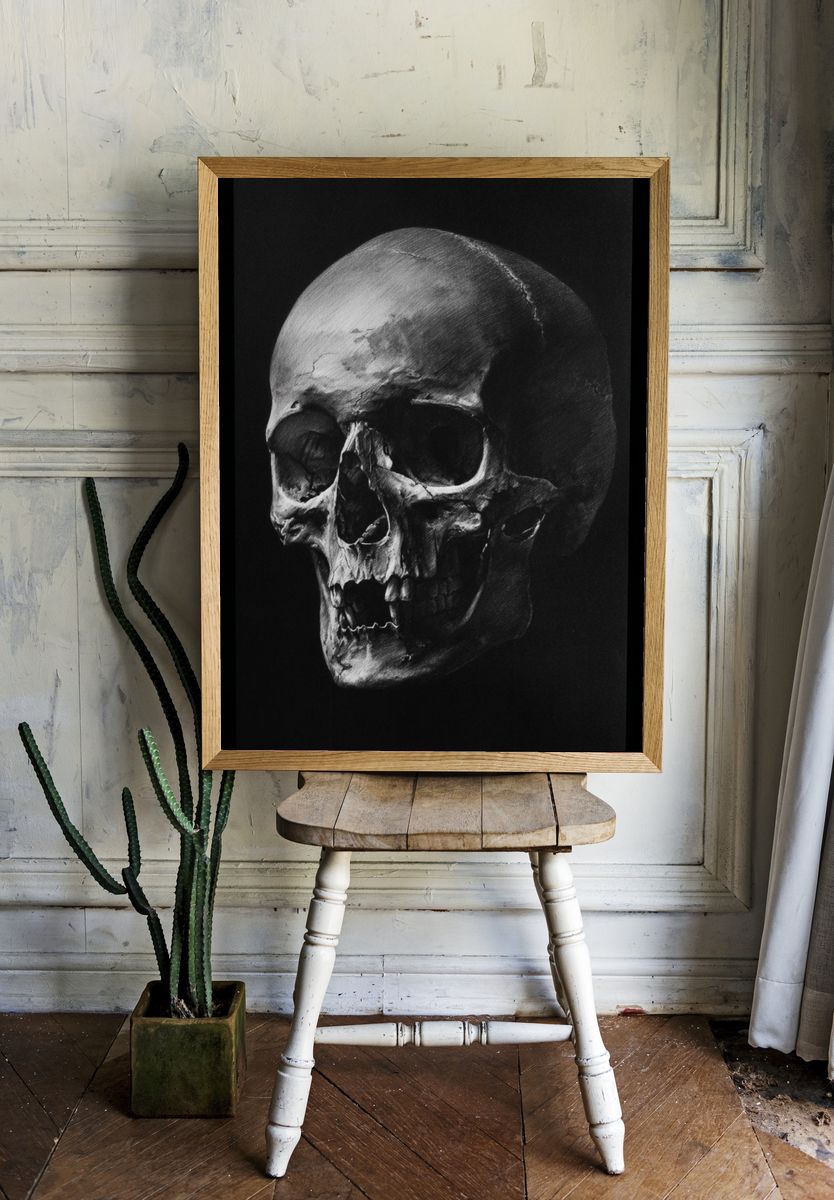 Human Skull — Fine Art Print. — room view 1