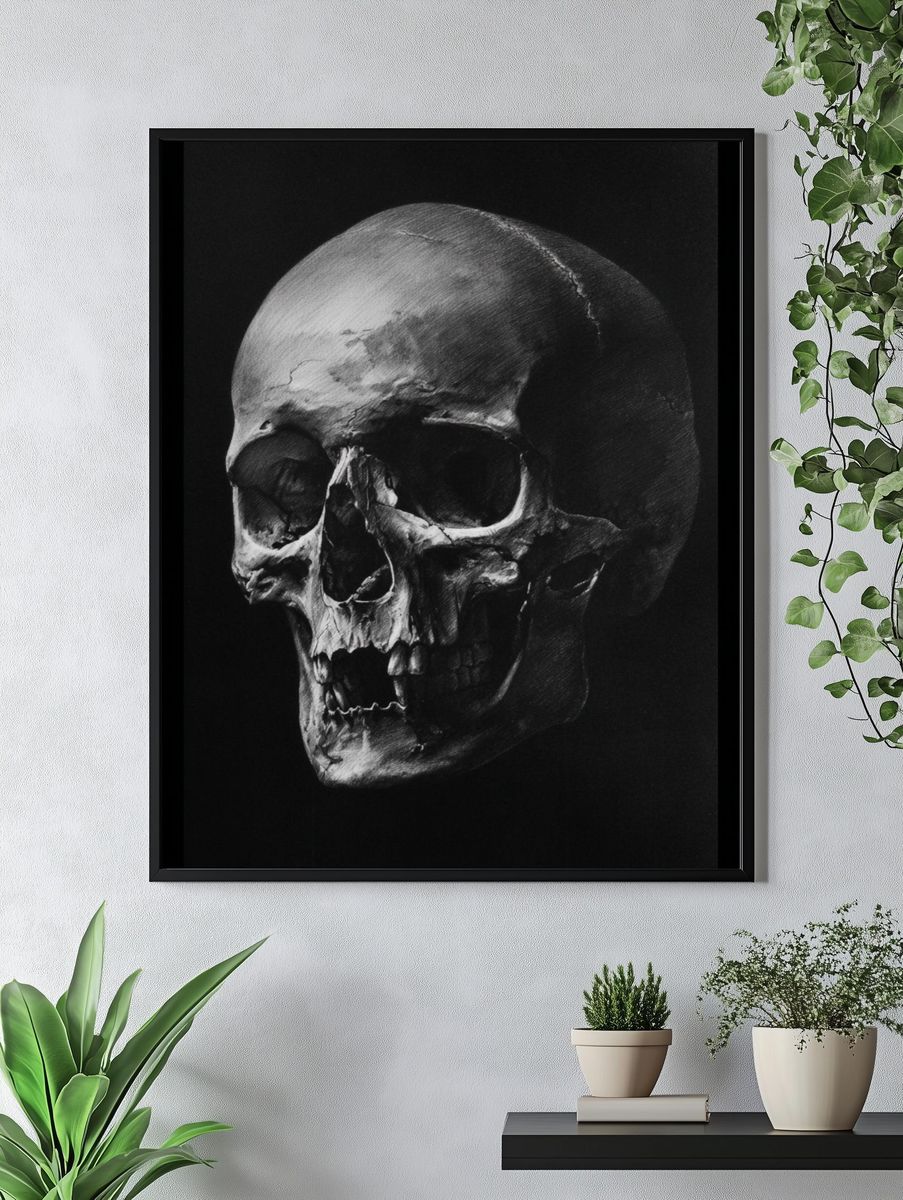 Human Skull — Fine Art Print. — room view 4