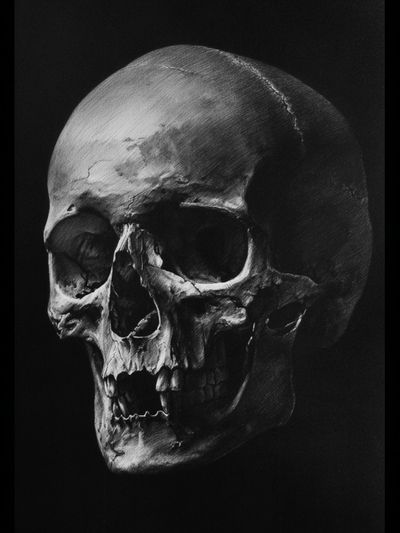 Human Skull — Fine Art Print. poster print