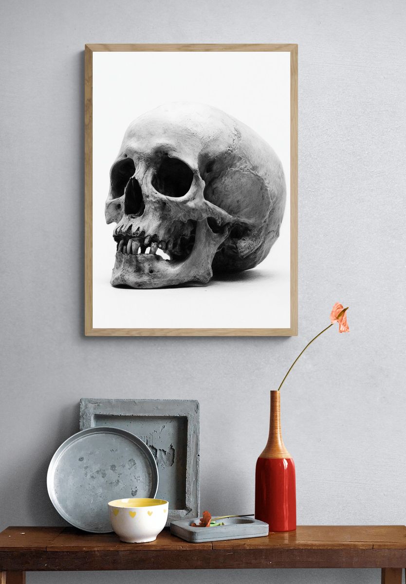 Human Skull Black-White Poster. — room view 3