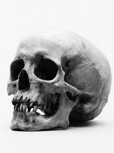 Human Skull Black-White Poster. poster