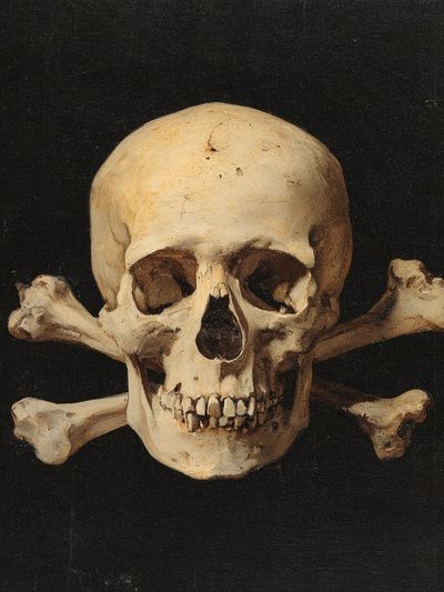 Skull and Crossbones Vintage Print. poster