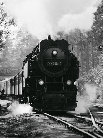 Steam Locomotive in the Forest Print.