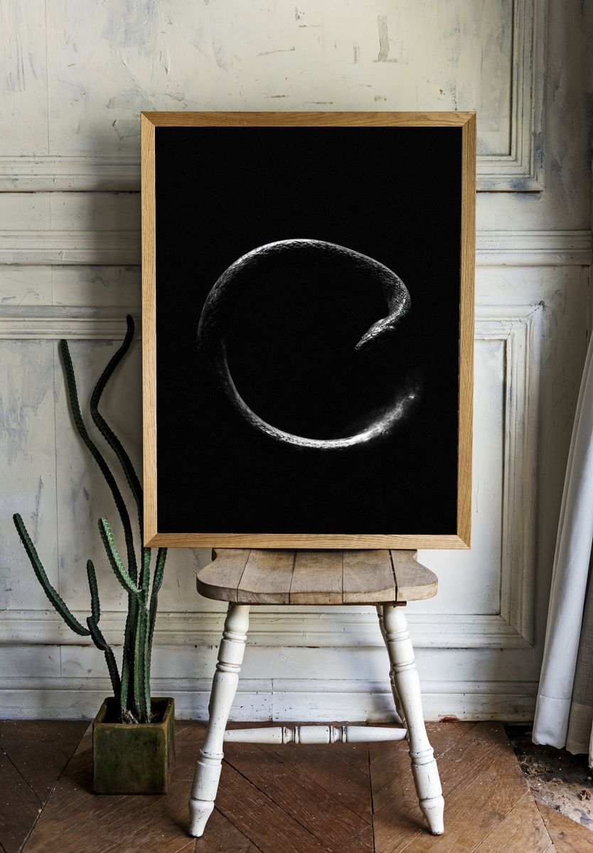 Snake Circle Black-White Poster. room preview