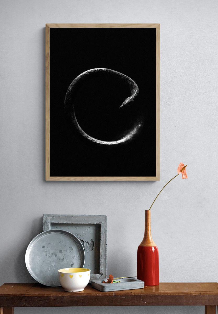 Snake Circle Black-White Poster. — room view 3