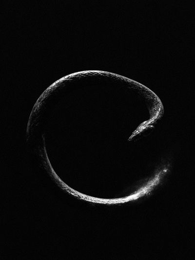 Snake Circle Black-White Poster. poster