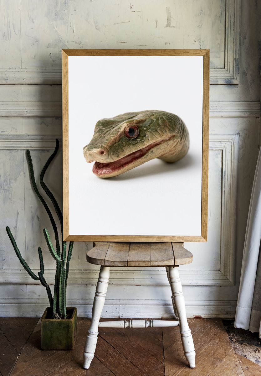 Snake Head Photography Poster. — room view 1