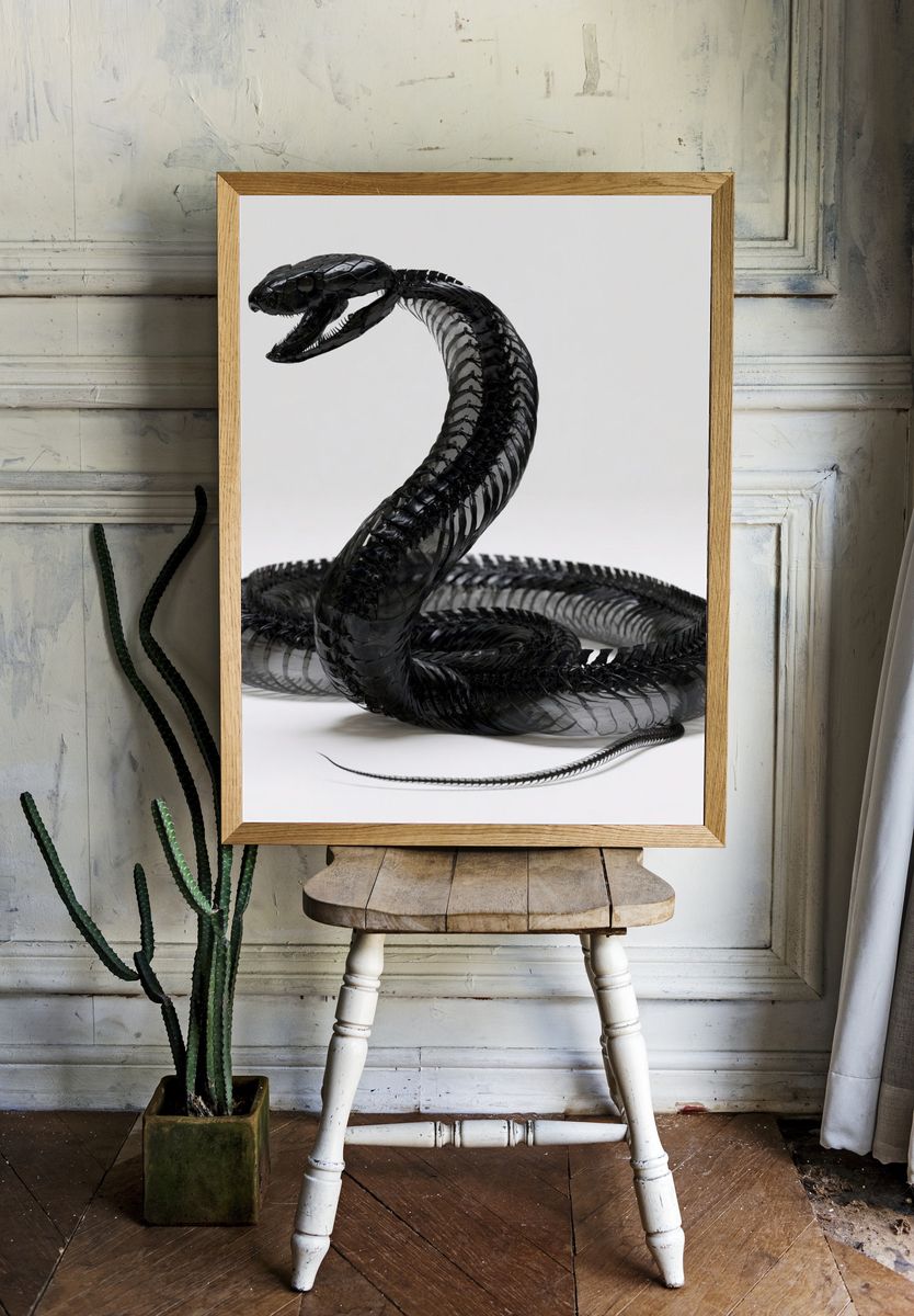 Black Snake Sculpture Poster. — room view 1
