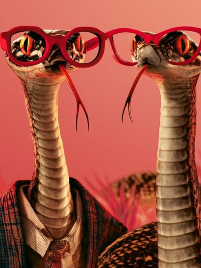 Stylish Snakes Portrait Poster. poster