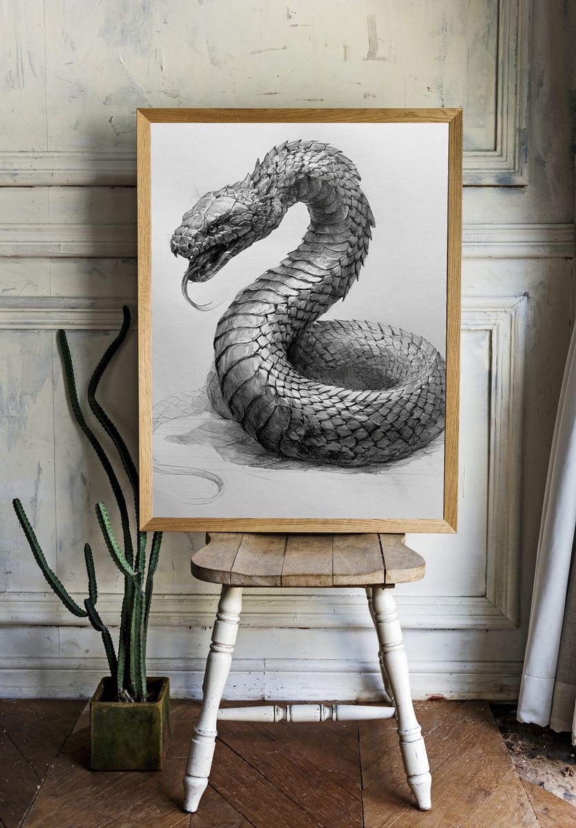 Coiled Snake Sketch Poster. room preview