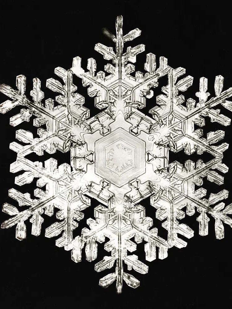 Intricate Snowflake — Nature Print. poster — nature art