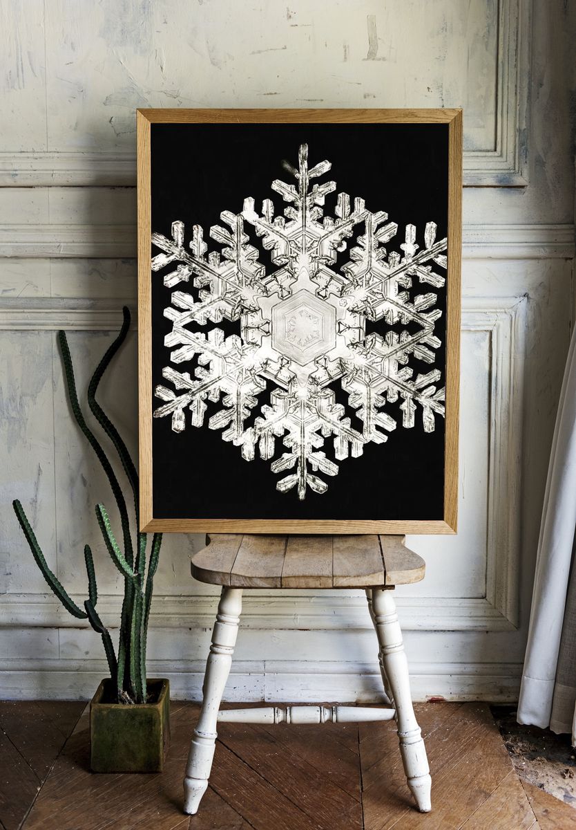 Intricate Snowflake — Nature Print room preview
