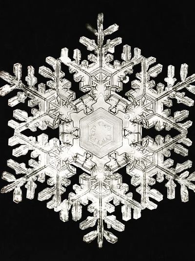 Intricate Snowflake — Nature Print. poster