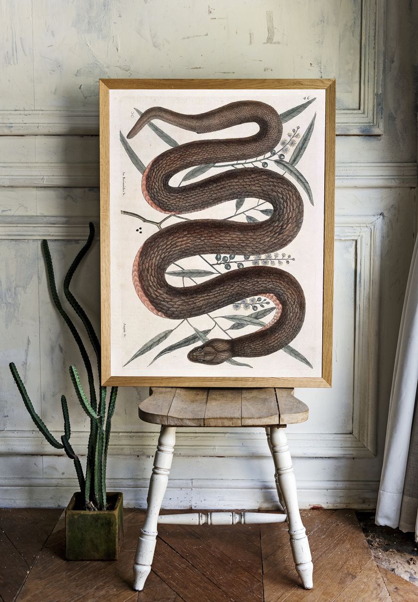 Elegant Snake Botanical Print room preview