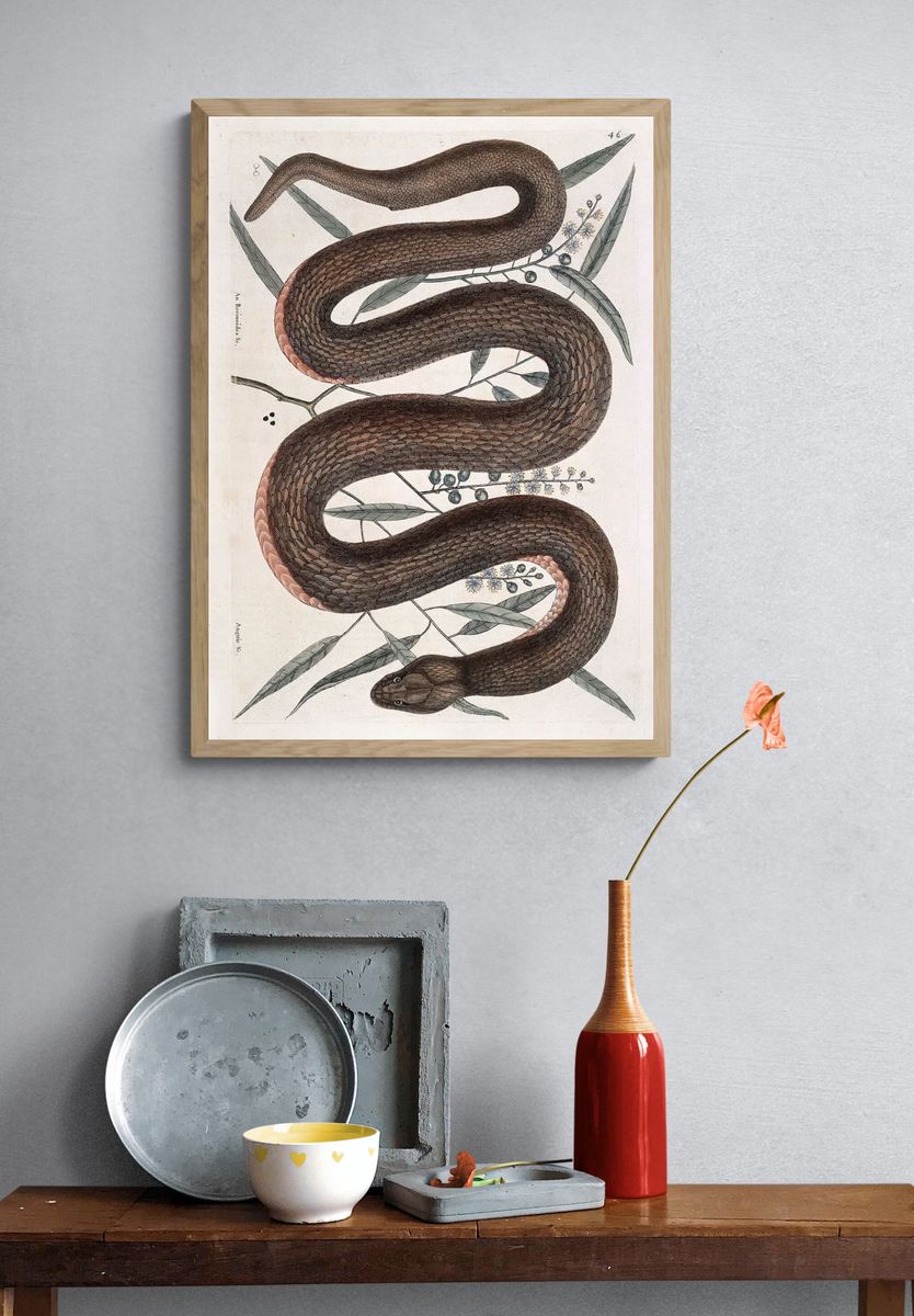 Elegant Snake Botanical Print. — room view 3