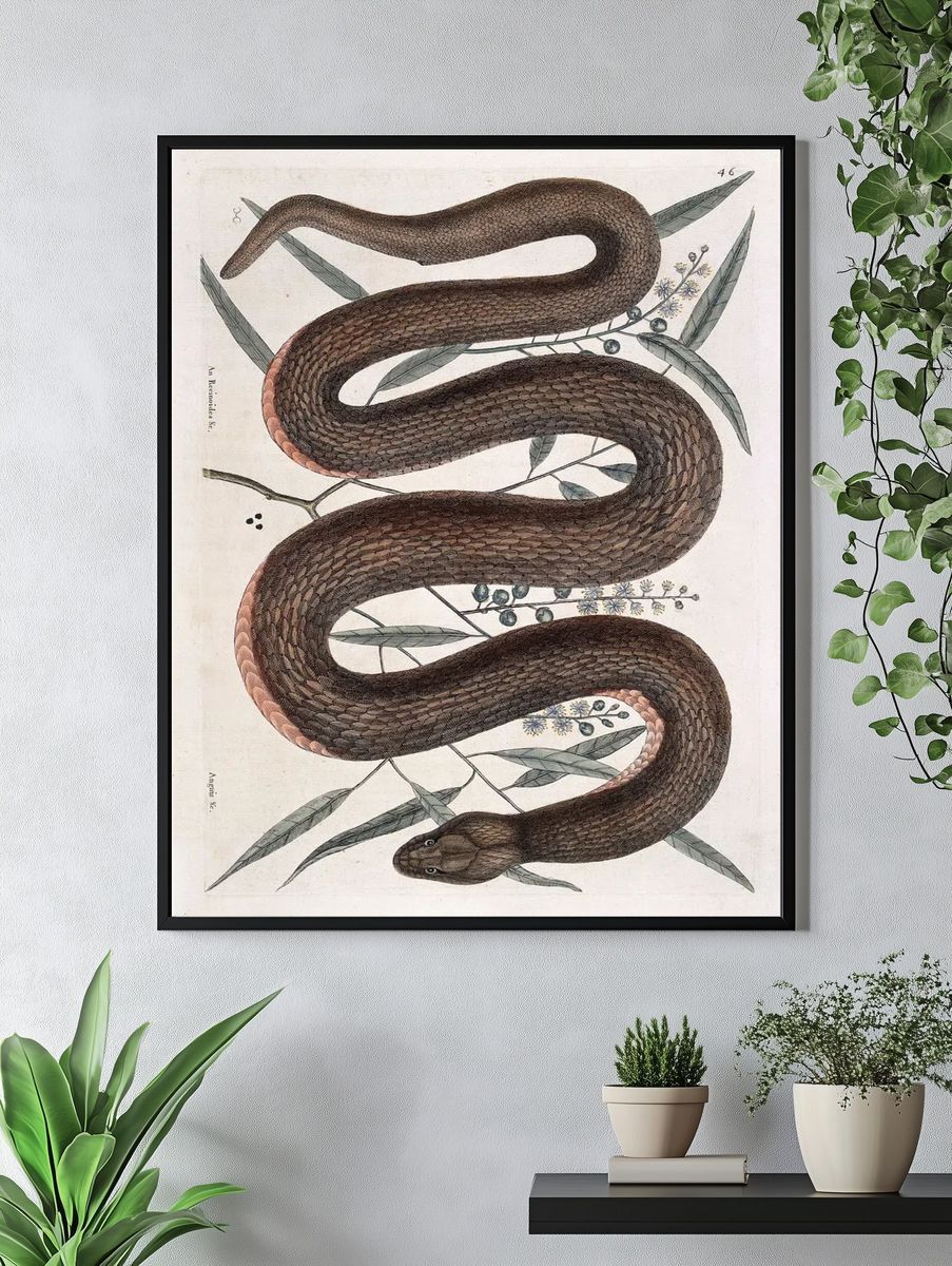 Elegant Snake Botanical Print. — room view 4