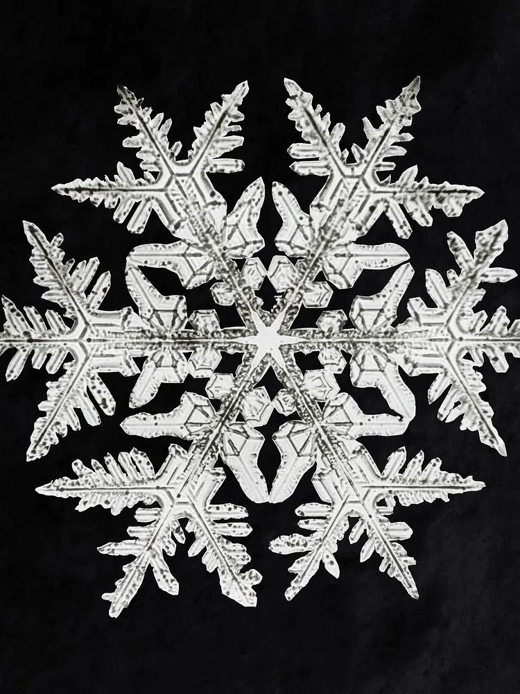 Wilson Bentley's Snowflake 920 (ca. 1890) detailed photograph of snowflakes.
